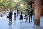 北海道神宮 神門前に続々訪れる七五三ご家族の様子（その2）
