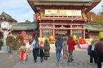 笠間稲荷神社 菊の花で飾られた楼門と本殿に向かう七五三ご家族の様子