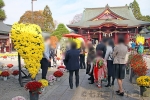 笠間稲荷神社 七五三の家族で賑わい、多くの菊の花でも賑わう楼門内の様子