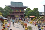笠間稲荷神社 楼門内の菊まつりで大いに飾られている様子