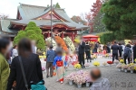 笠間稲荷神社 七五三ご家族と他の多くの参拝者でも賑わう境内の様子
