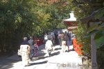 大宮氷川神社 おみくじ掛けと大量のおみくじの様子