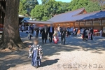 大宮氷川神社 駐車場見取り図と混み具合の案内看板の様子