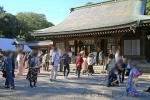 大宮氷川神社 七五三および一般参拝者で賑わう拝殿・本殿前の様子