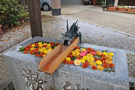 川越八幡宮 花手水の様子