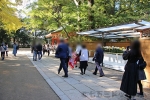 香取神宮 楼門前の参道と菊まつりの様子