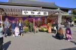 亀戸天神社 菊まつりの前で記念撮影する七五三のお子さんとご家族の様子（その1）