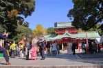 富岡八幡宮 境内・参道で七五三の記念撮影されている多くのご家族の様子（その2）