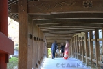 吉備津神社 廻廊にて七五三の記念写真を撮っているご家族の様子（その1）