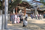 石切劔箭神社 七五三ご家族の往来や記念撮影で賑わっているの様子（その5）