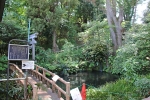 杵築大社 富士塚とその前の池の橋の様子