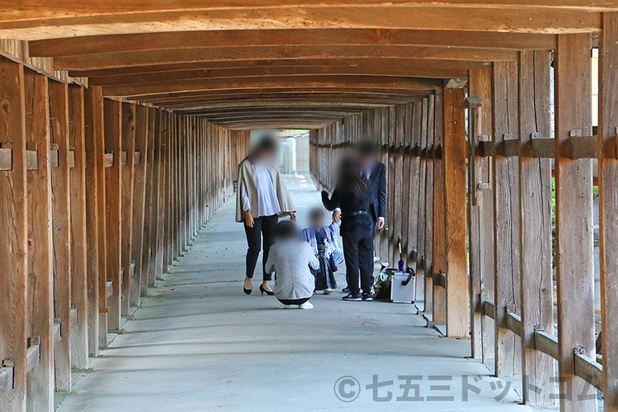 吉備津神社 廻廊にて七五三の記念写真を撮っているご家族の様子（その2）