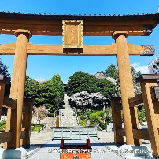 宇都宮二荒山神社はゆっくり歩いても10分程度でとても近い。